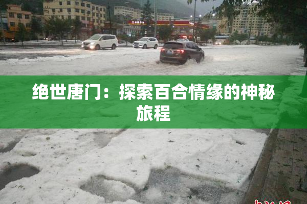 绝世唐门：探索百合情缘的神秘旅程