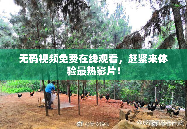 无码视频免费在线观看，赶紧来体验最热影片！