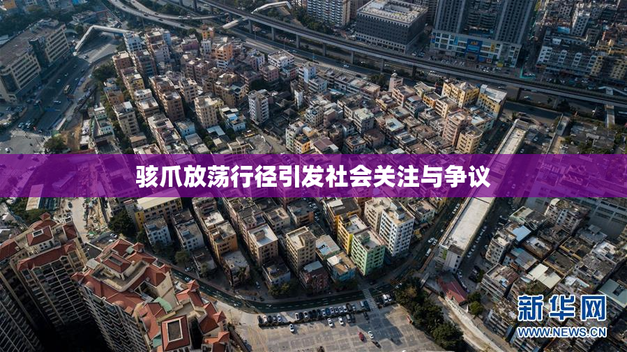 骇爪放荡行径引发社会关注与争议