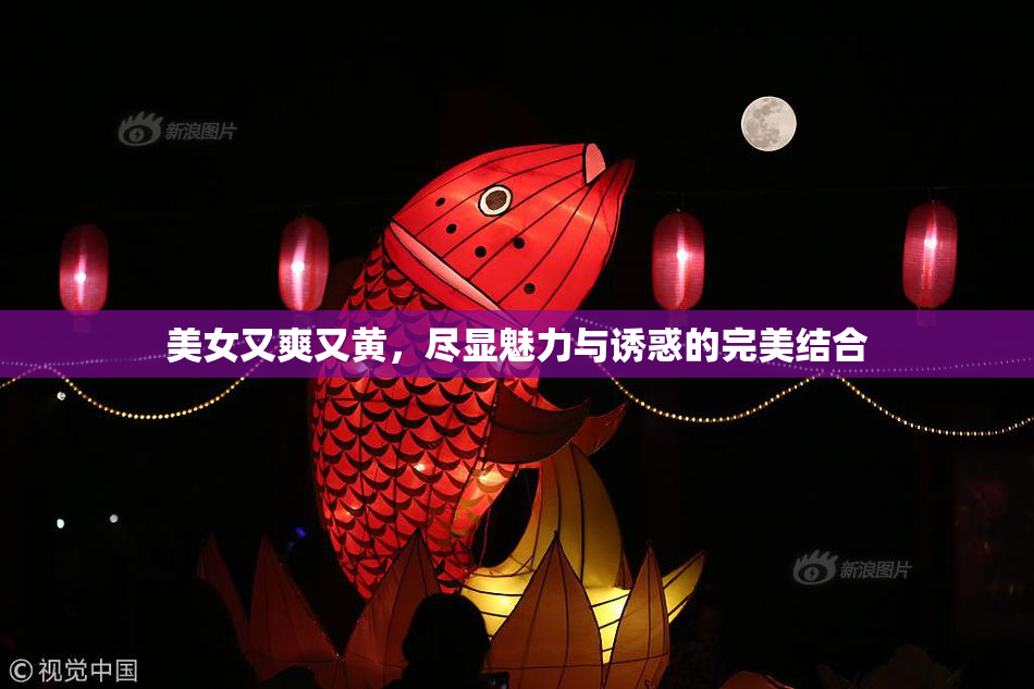 美女又爽又黄，尽显魅力与诱惑的完美结合