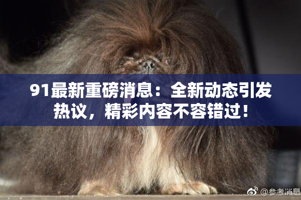 91最新重磅消息：全新动态引发热议，精彩内容不容错过！