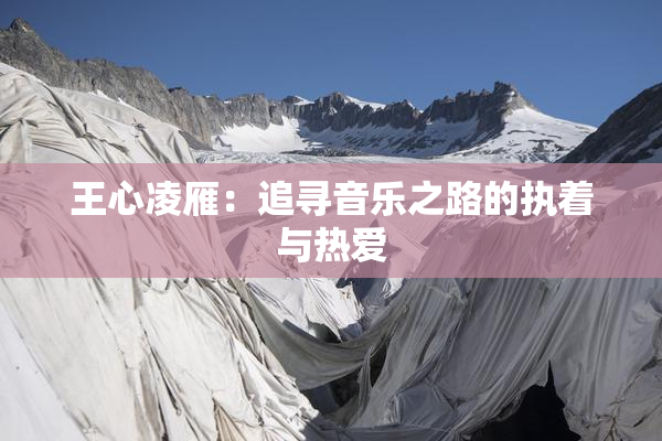 王心凌雁：追寻音乐之路的执着与热爱