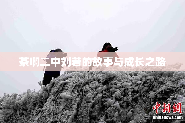 茶啊二中刘若的故事与成长之路
