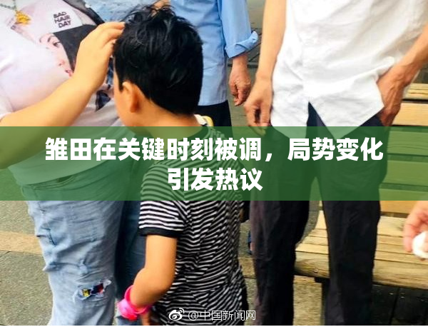 雏田在关键时刻被调，局势变化引发热议