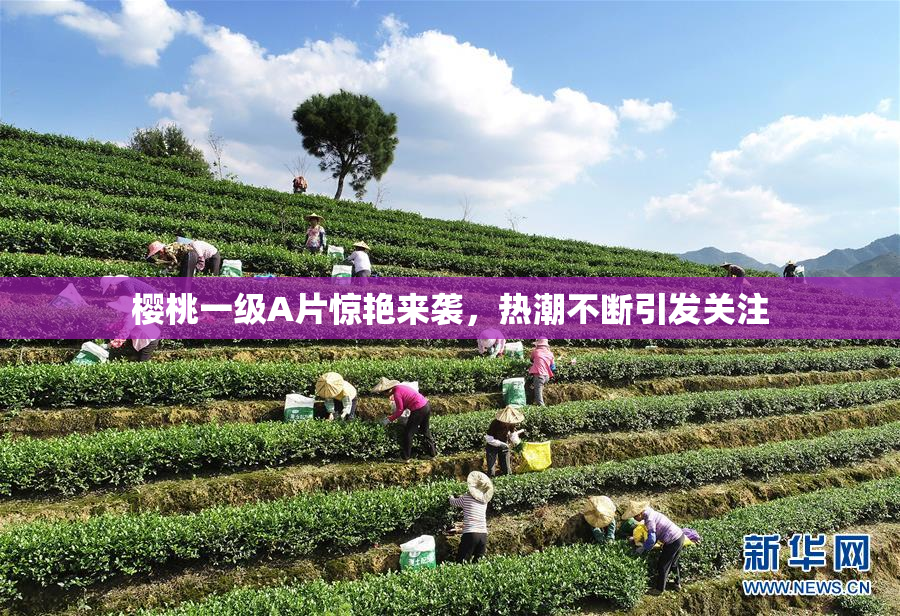 樱桃一级A片惊艳来袭，热潮不断引发关注
