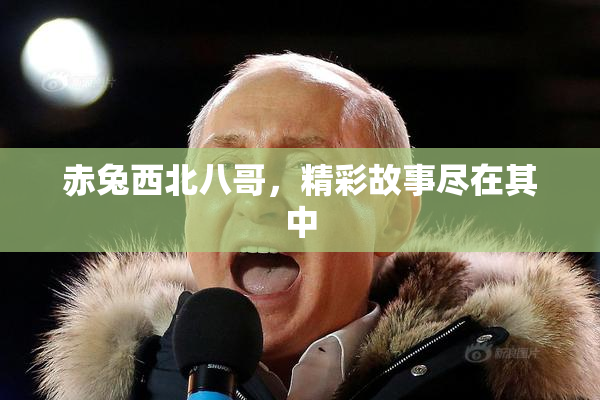 赤兔西北八哥，精彩故事尽在其中