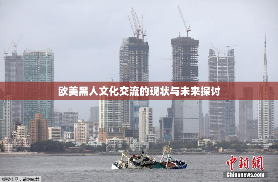 欧美黑人文化交流的现状与未来探讨