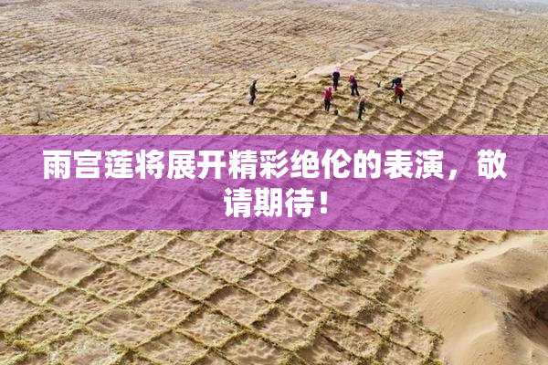雨宫莲将展开精彩绝伦的表演，敬请期待！