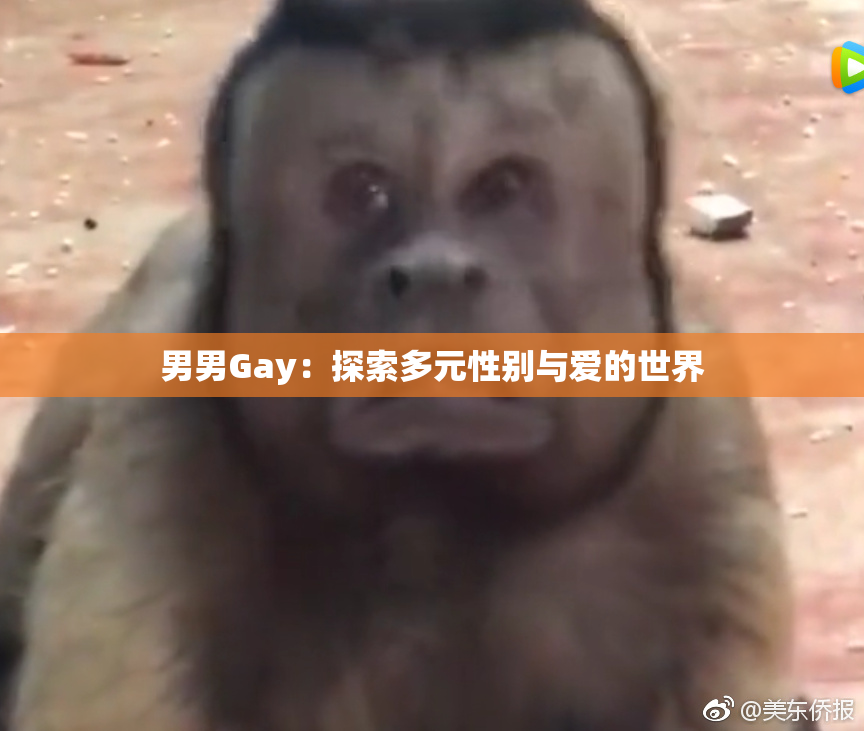 男男Gay：探索多元性别与爱的世界