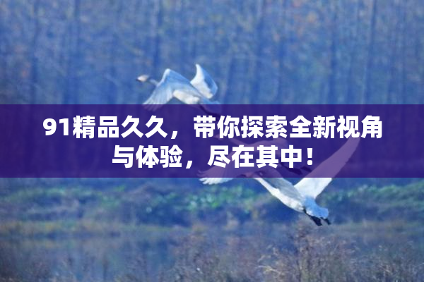 91精品久久，带你探索全新视角与体验，尽在其中！