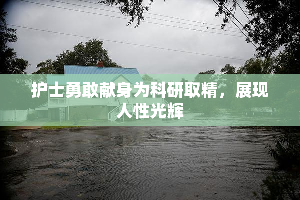 护士勇敢献身为科研取精，展现人性光辉
