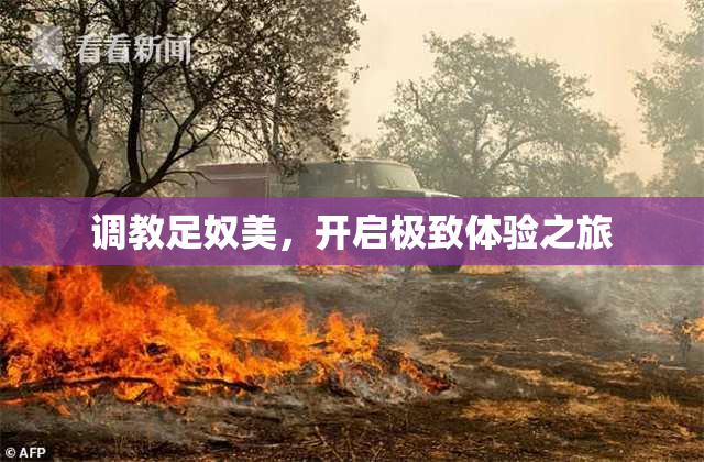 调教足奴美，开启极致体验之旅