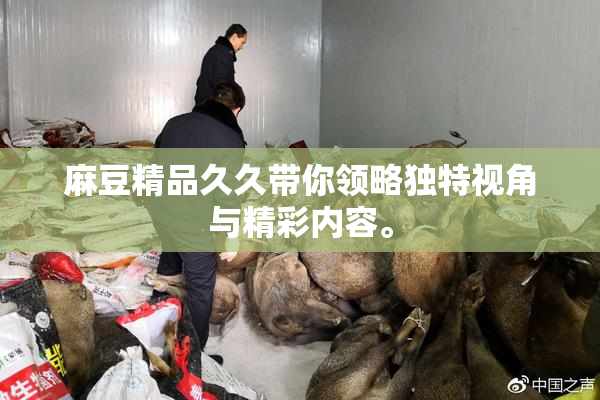 麻豆精品久久带你领略独特视角与精彩内容。