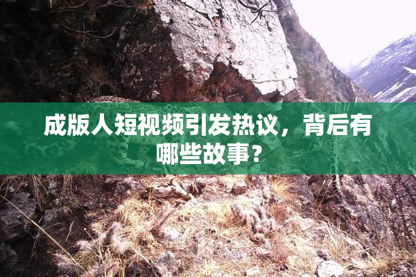 成版人短视频引发热议，背后有哪些故事？