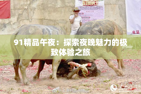 91精品午夜：探索夜晚魅力的极致体验之旅