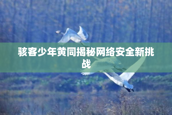 骇客少年黄同揭秘网络安全新挑战