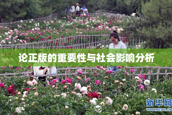 论正版的重要性与社会影响分析