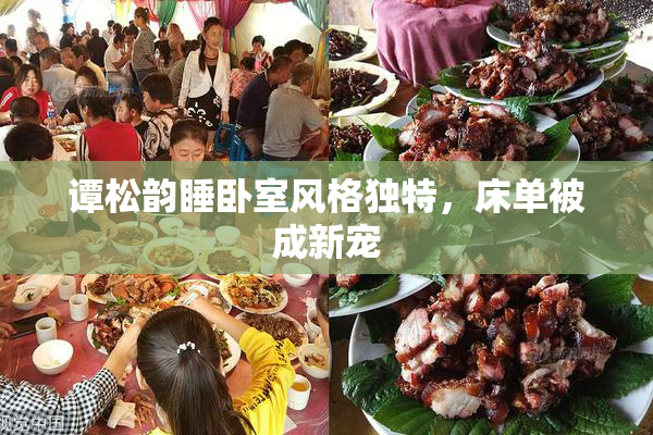 谭松韵睡卧室风格独特，床单被成新宠