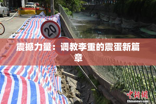 震撼力量：调教李重的震蛋新篇章