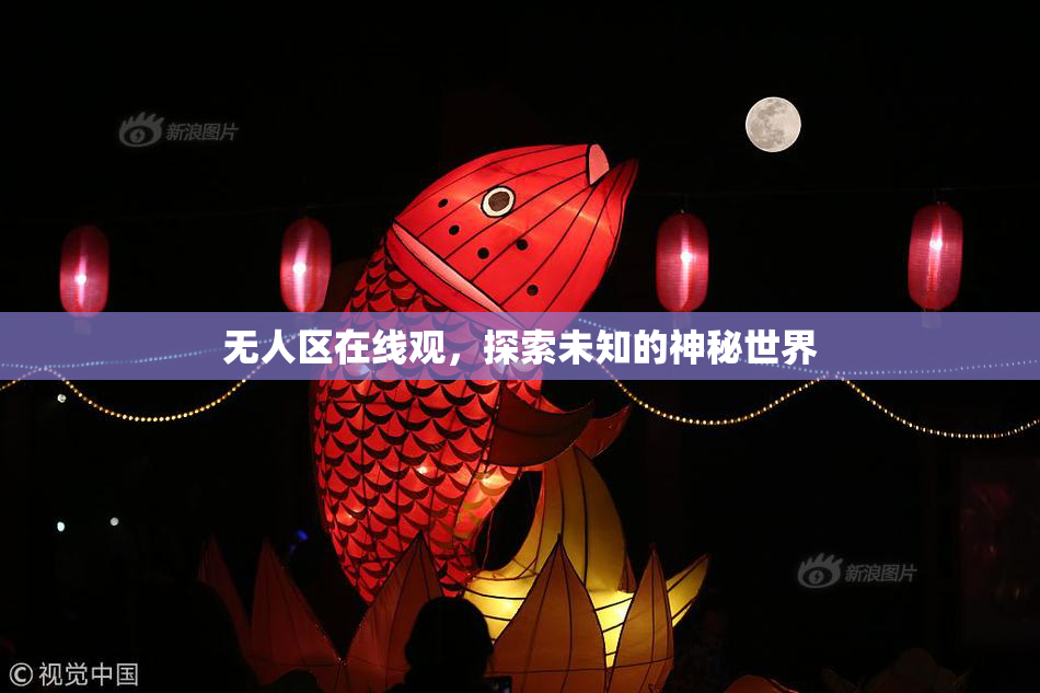 无人区在线观，探索未知的神秘世界