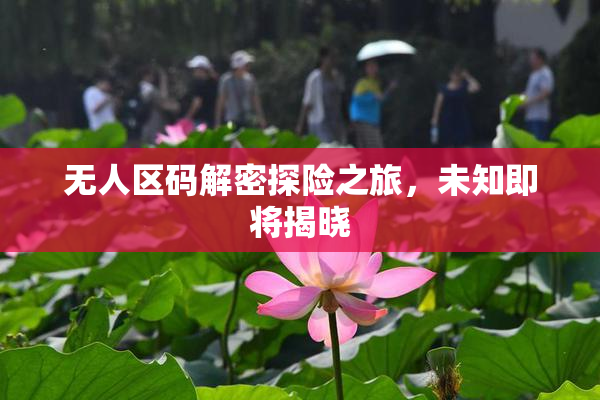 无人区码解密探险之旅，未知即将揭晓