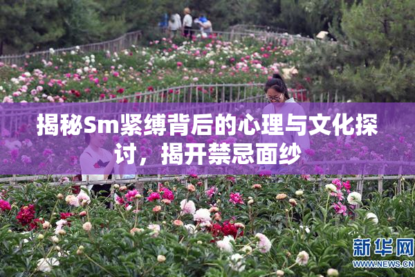 揭秘Sm紧缚背后的心理与文化探讨，揭开禁忌面纱