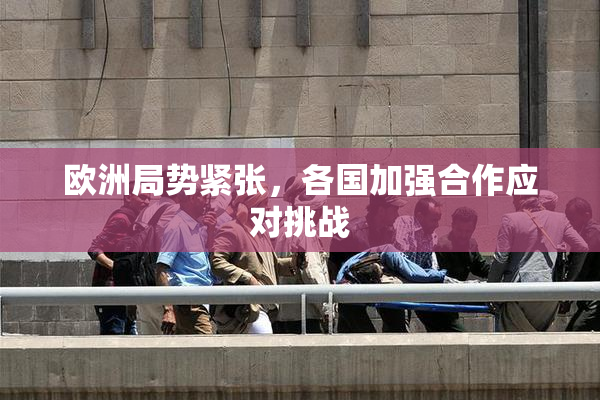 欧洲局势紧张，各国加强合作应对挑战