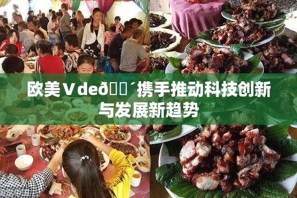 欧美Ⅴde🔴携手推动科技创新与发展新趋势