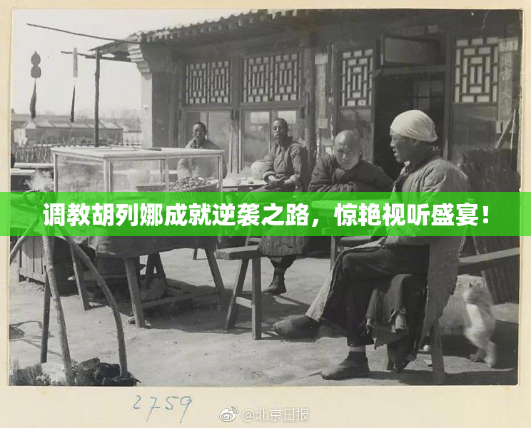 调教胡列娜成就逆袭之路，惊艳视听盛宴！