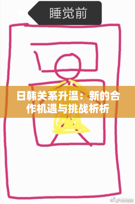 日韩关系升温：新的合作机遇与挑战析析