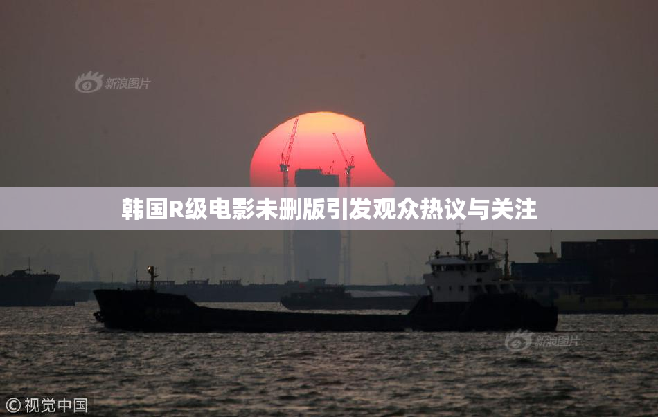 韩国R级电影未删版引发观众热议与关注
