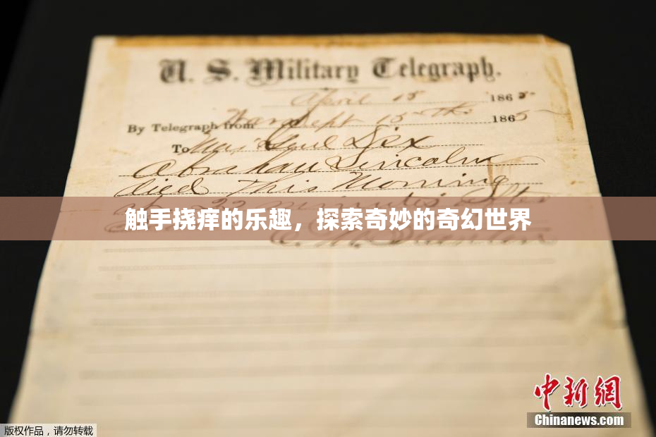 触手挠痒的乐趣，探索奇妙的奇幻世界