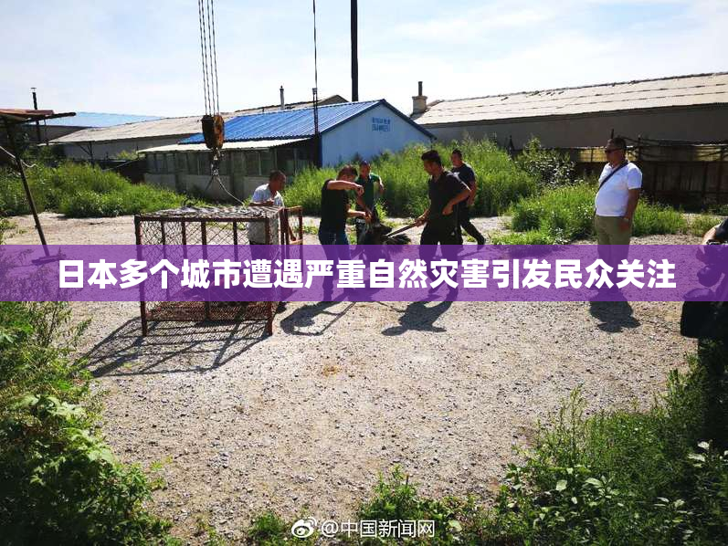 日本多个城市遭遇严重自然灾害引发民众关注