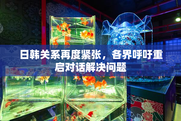 日韩关系再度紧张，各界呼吁重启对话解决问题