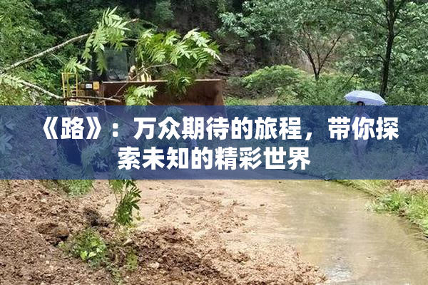 《路》：万众期待的旅程，带你探索未知的精彩世界