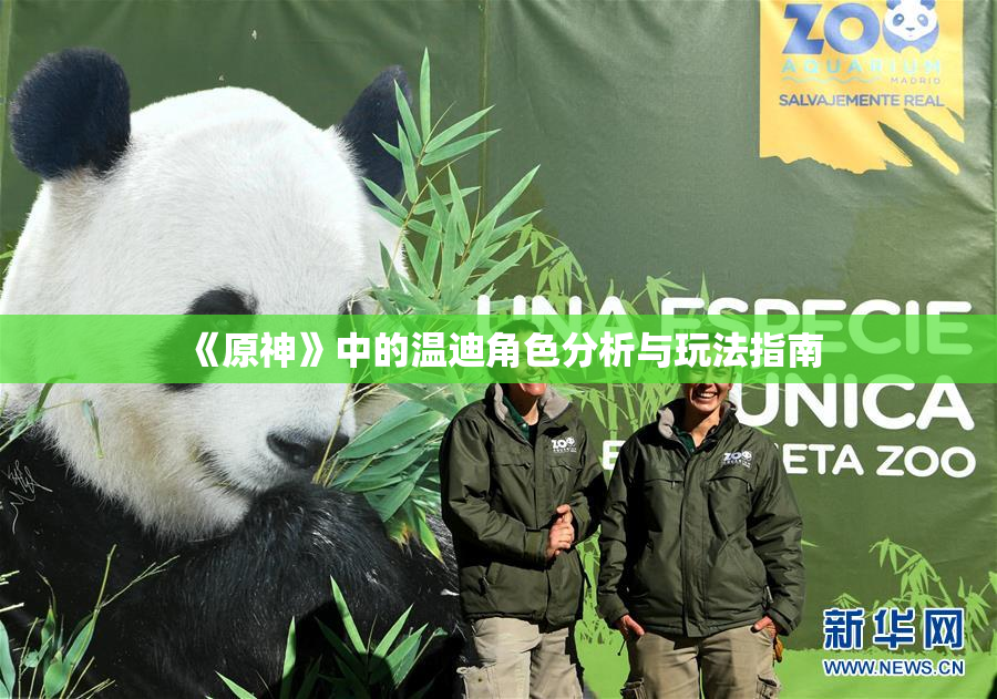 《原神》中的温迪角色分析与玩法指南