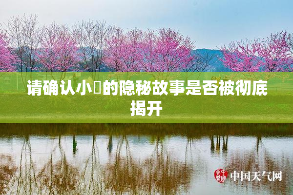 请确认小泬的隐秘故事是否被彻底揭开