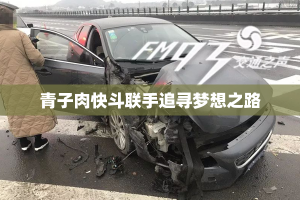 青子肉快斗联手追寻梦想之路