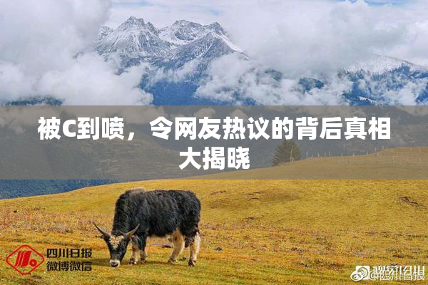 被C到喷，令网友热议的背后真相大揭晓