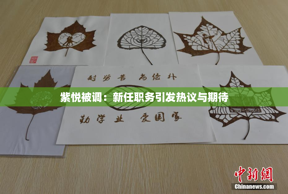 紫悦被调：新任职务引发热议与期待