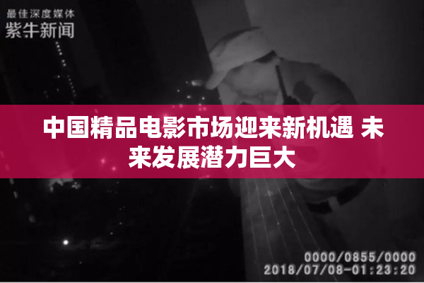 中国精品电影市场迎来新机遇 未来发展潜力巨大