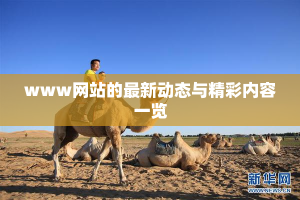 www网站的最新动态与精彩内容一览