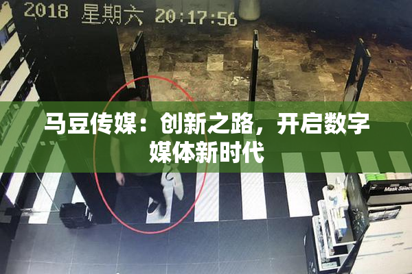 马豆传媒：创新之路，开启数字媒体新时代