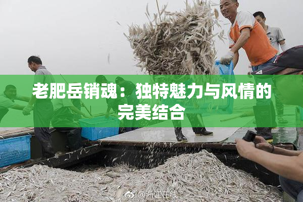 老肥岳销魂：独特魅力与风情的完美结合