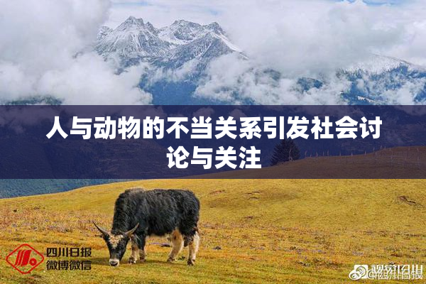 人与动物的不当关系引发社会讨论与关注