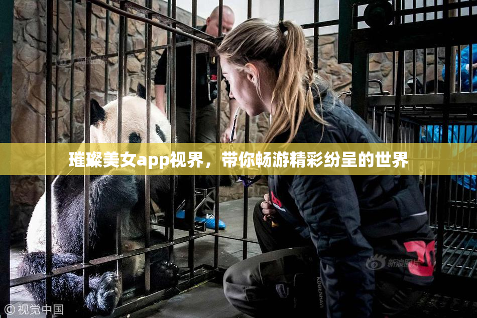 璀璨美女app视界，带你畅游精彩纷呈的世界
