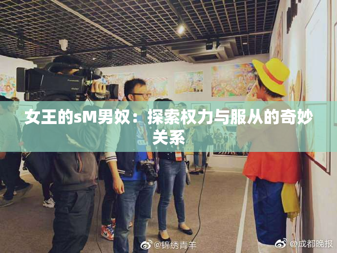 女王的sM男奴：探索权力与服从的奇妙关系