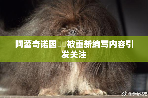 阿蕾奇诺因❌‌被重新编写内容引发关注