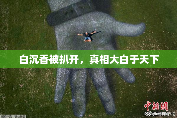 白沉香被扒开，真相大白于天下