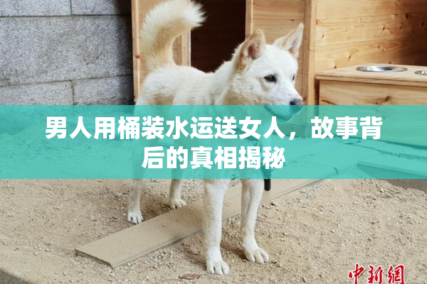 男人用桶装水运送女人，故事背后的真相揭秘